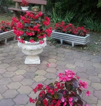 Bed & Breakfast Monika Panzio